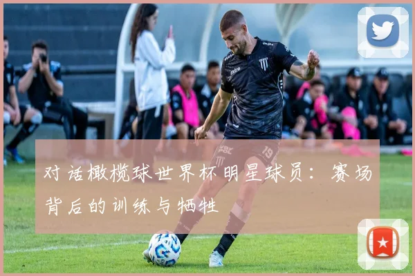 对话橄榄球世界杯明星球员：赛场背后的训练与牺牲
