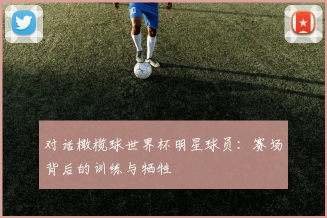 对话橄榄球世界杯明星球员：赛场背后的训练与牺牲