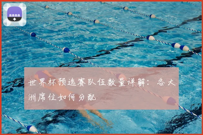 世界杯预选赛队伍数量详解：各大洲席位如何分配