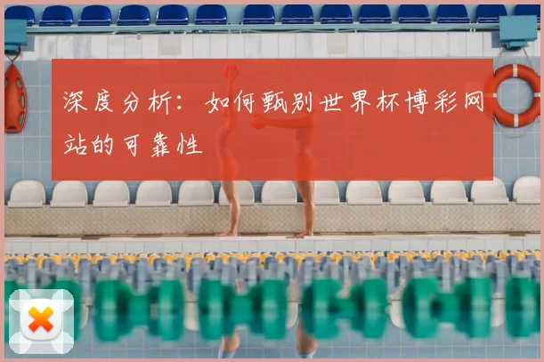 深度分析：如何甄别世界杯博彩网站的可靠性