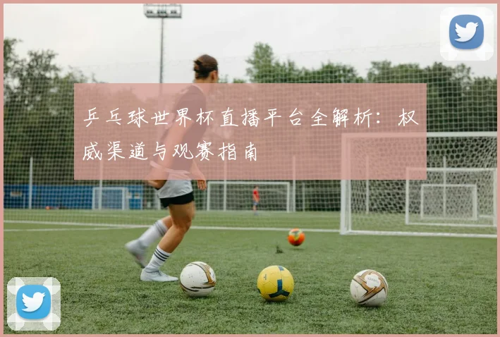 乒乓球世界杯直播平台全解析：权威渠道与观赛指南