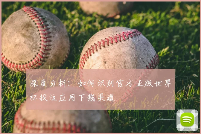 深度分析：如何识别官方正版世界杯投注应用下载渠道