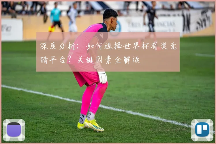 深度分析：如何选择世界杯有奖竞猜平台？关键因素全解读