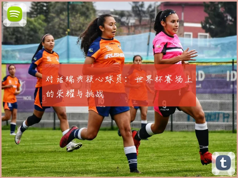 对话瑞典核心球员：世界杯赛场上的荣耀与挑战