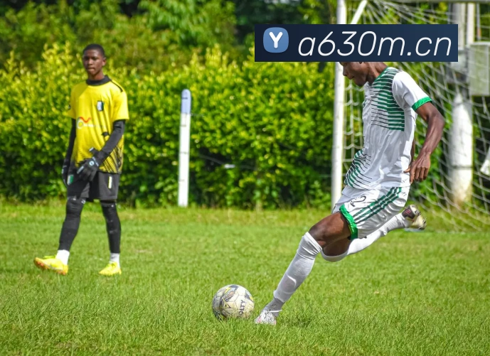 9游官网入口平台生态图