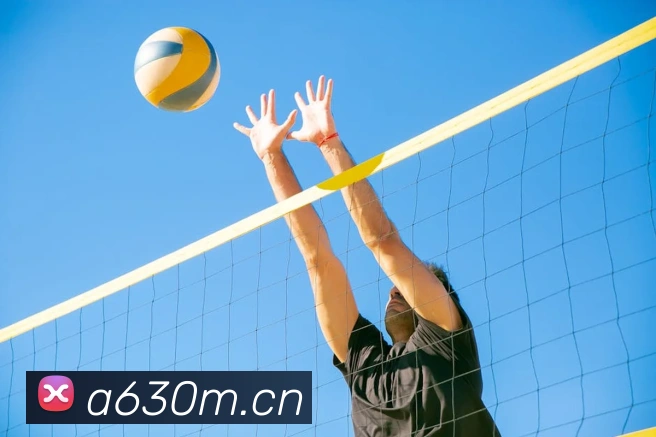 9游官网入口APP 封面图